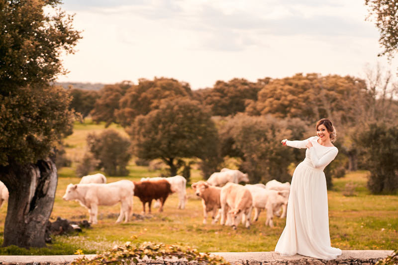 Foto de la novia con las vacas al fondo