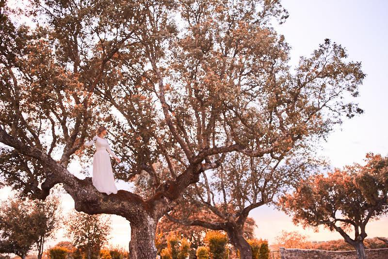 Foto de la novia en el árbol