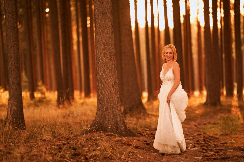 GIF de la novia en el bosque